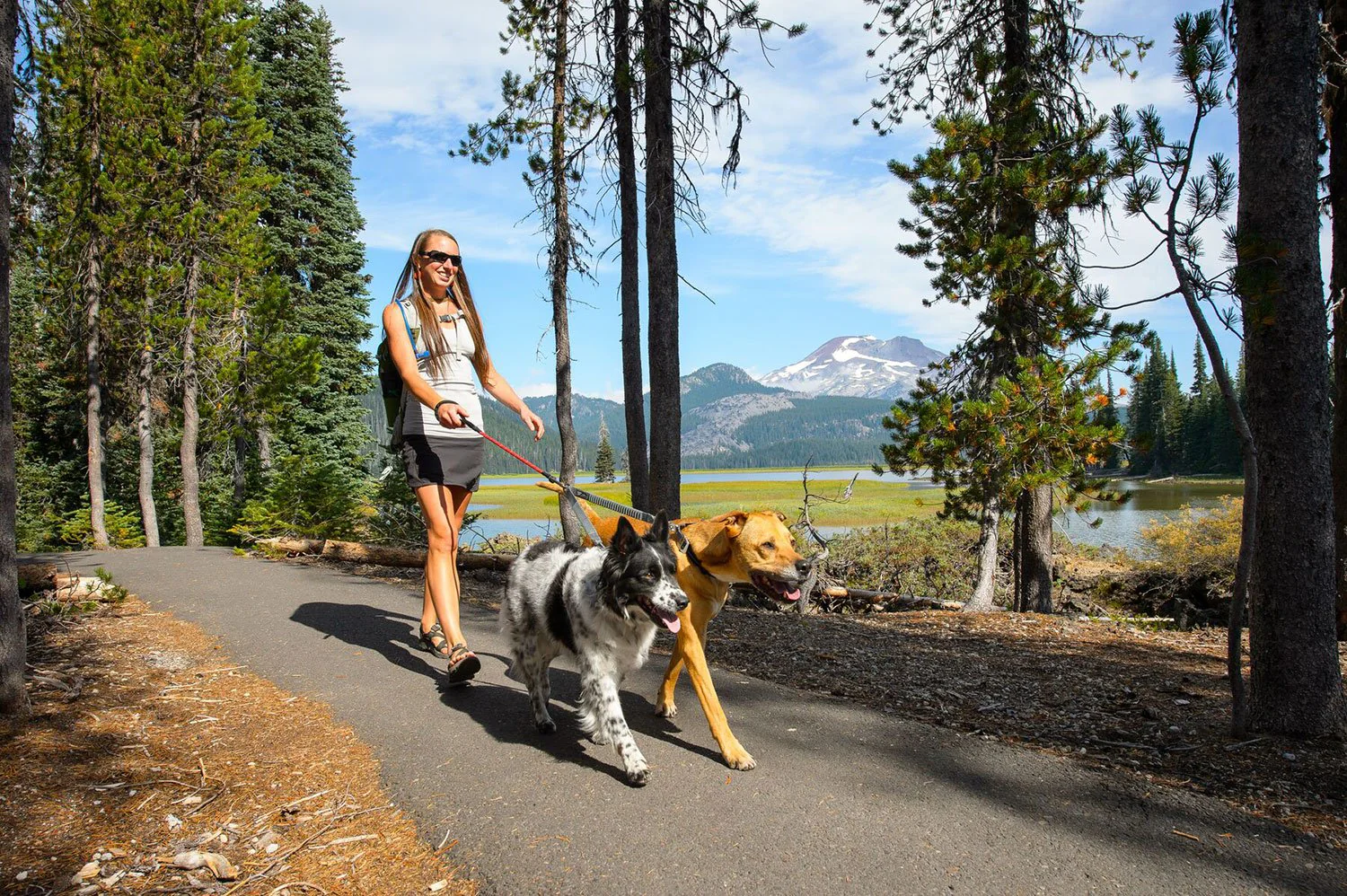 Ruffwear Double Track Coupler Leash Gray - DISC - Image 3