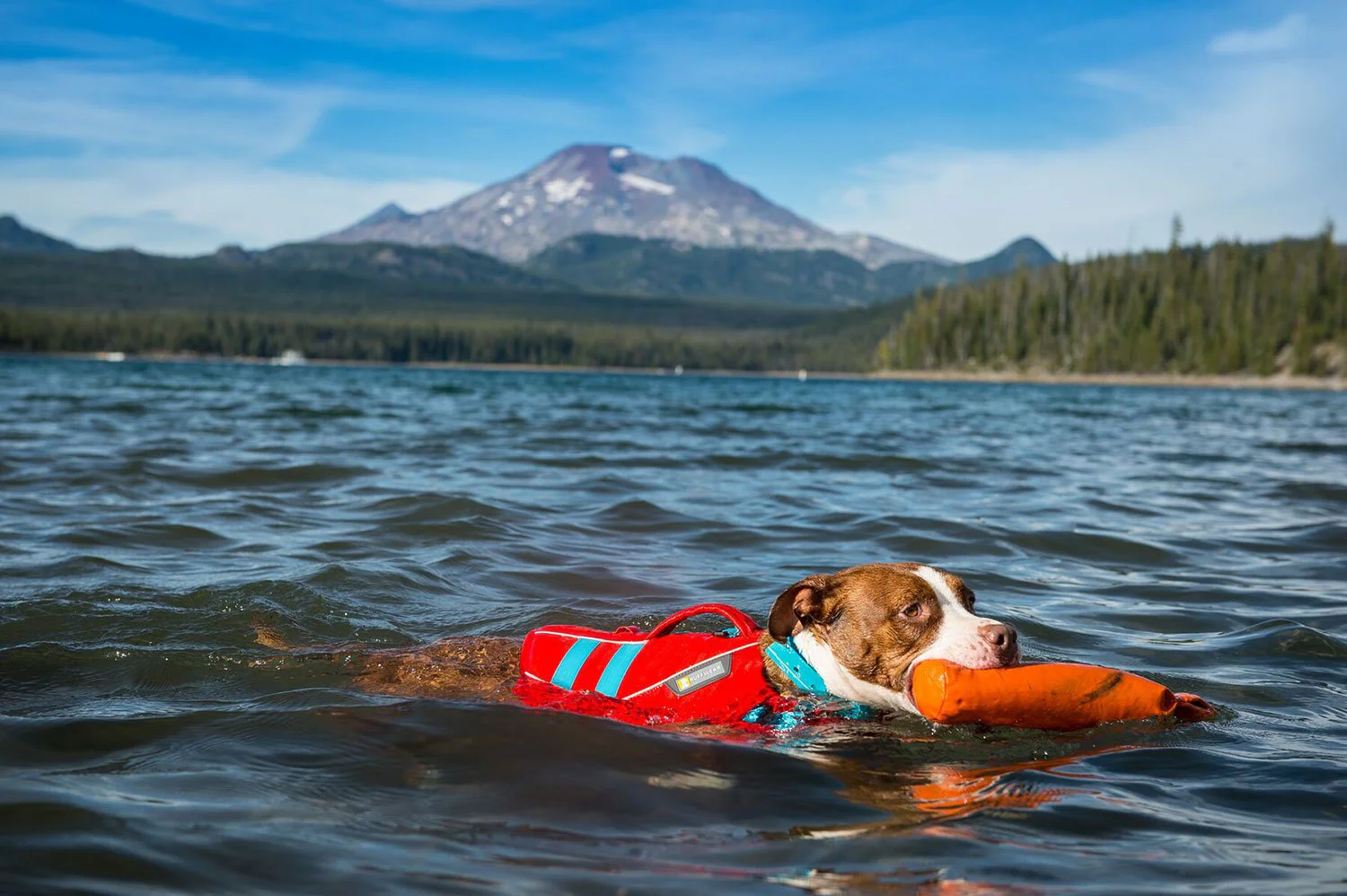 Ruffwear Float Coat Red Sumac - Image 3