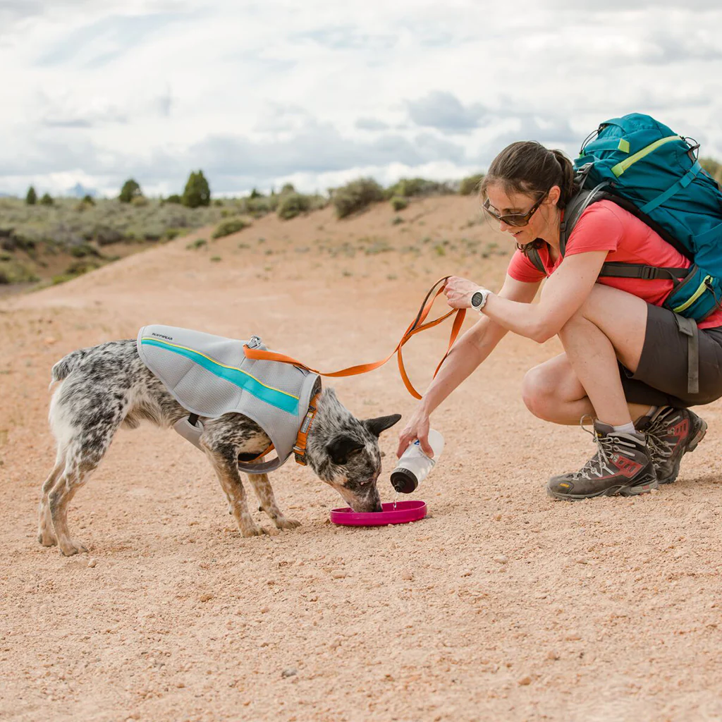 Ruffwear Front Range Collar Campfire Orange - Image 3