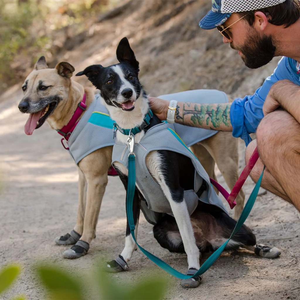 Ruffwear Front Range Collar Tumalo Teal - Image 3