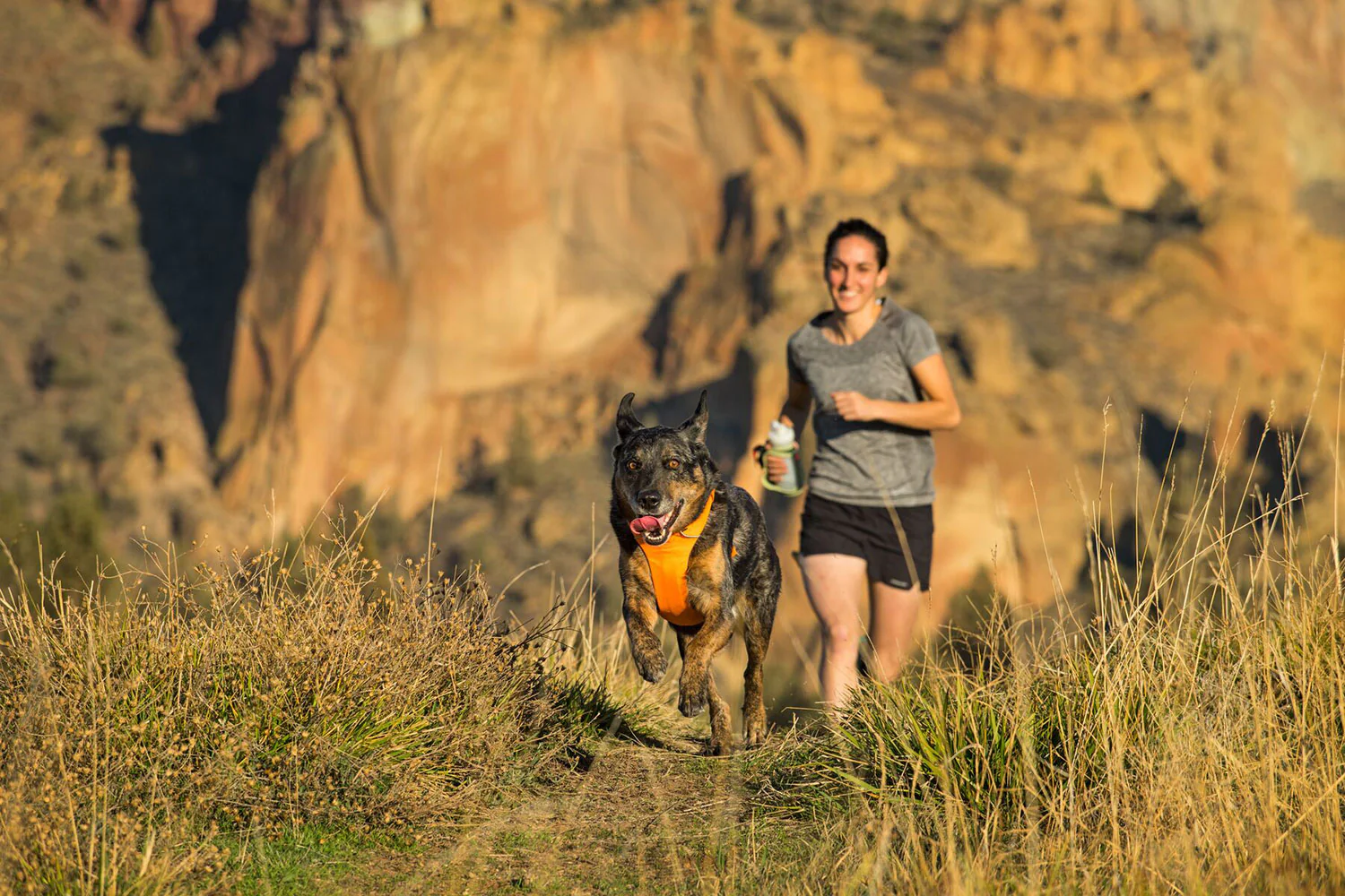 Ruffwear Front Range Harness Campfire Orange - Image 3
