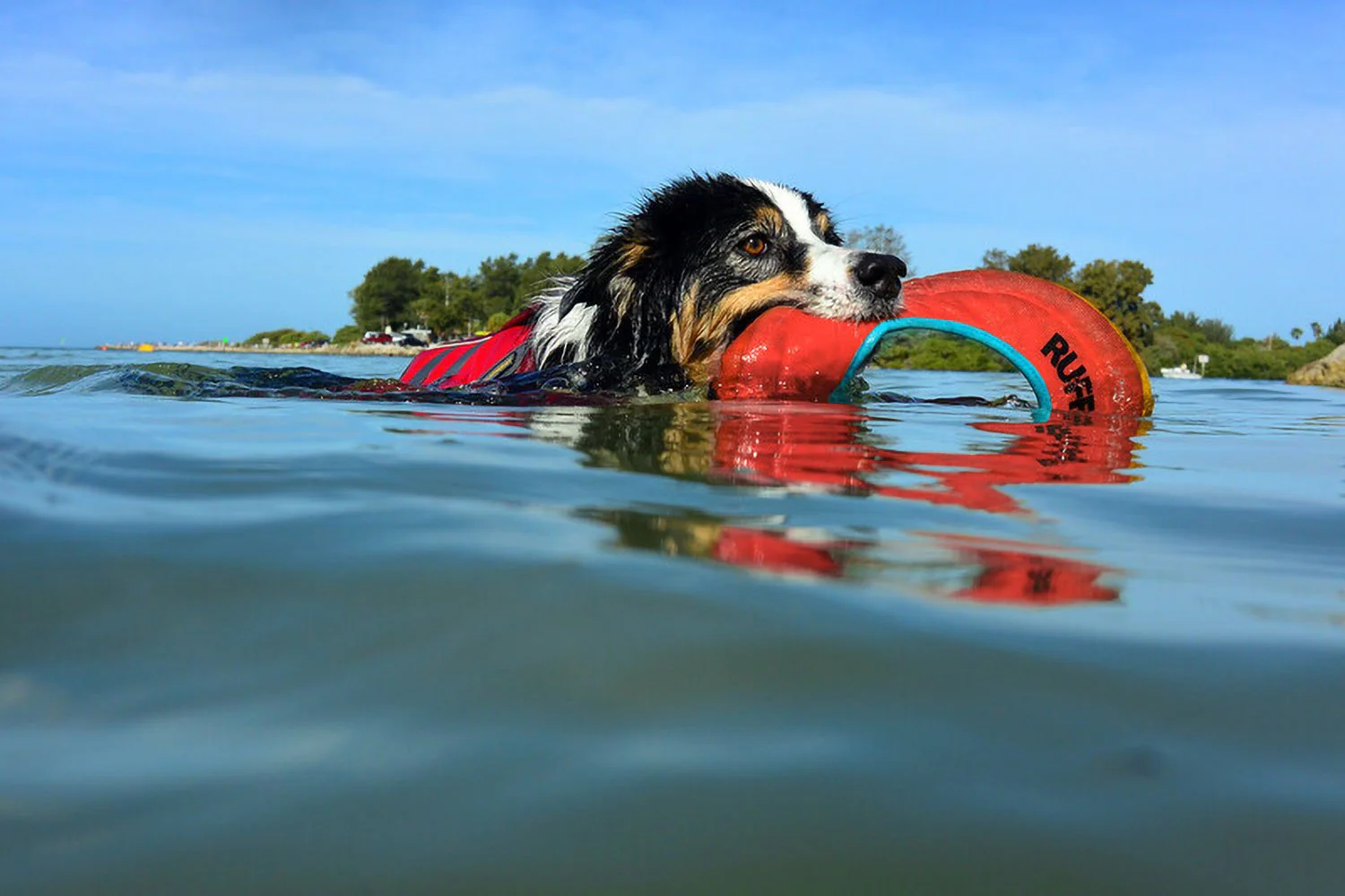 Ruffwear Hydro Plane Dog Toy Sockeye Red - DISC - Image 3