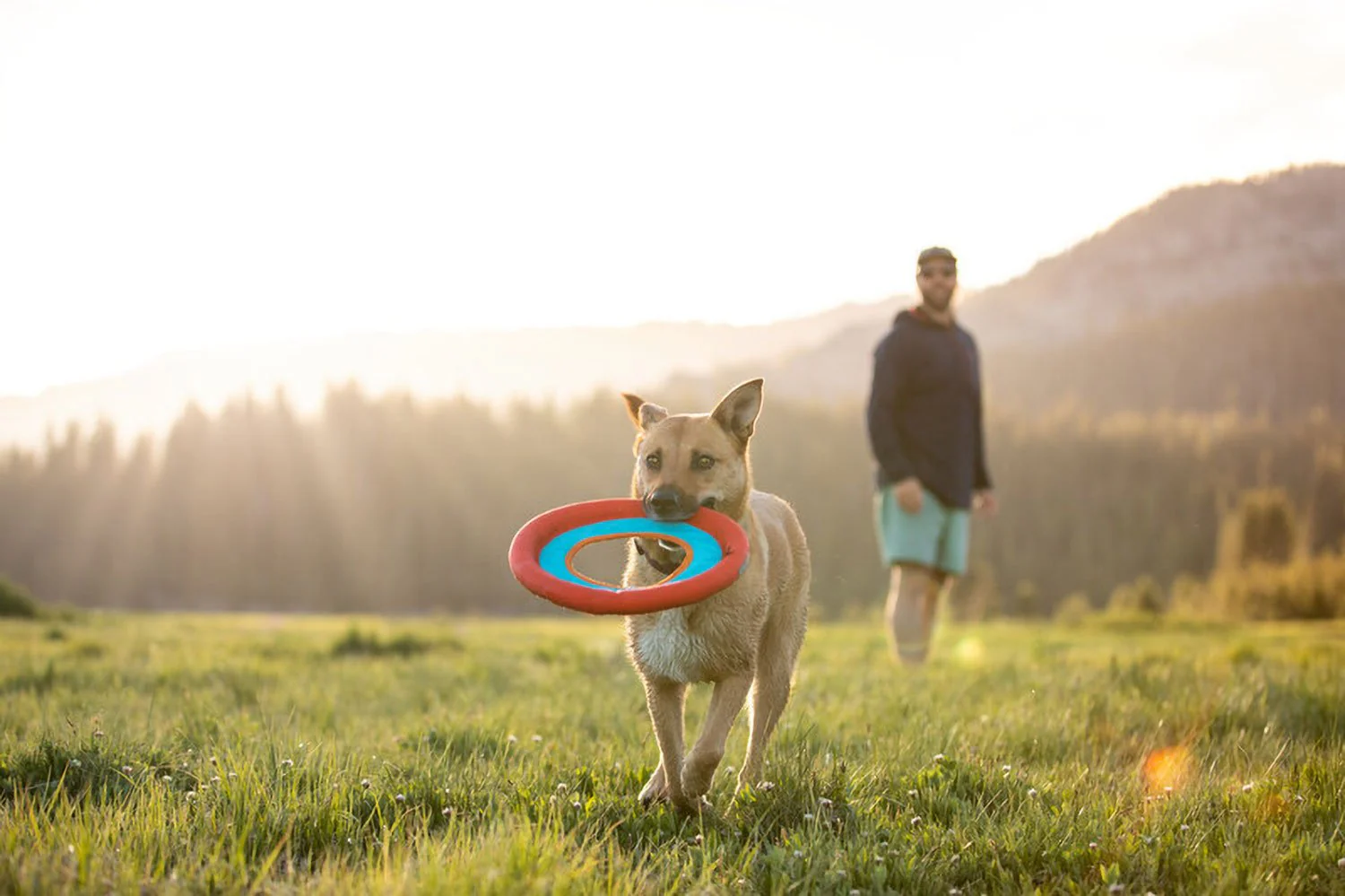 Ruffwear Hydro Plane Dog Toy Sockeye Red - DISC - Image 5