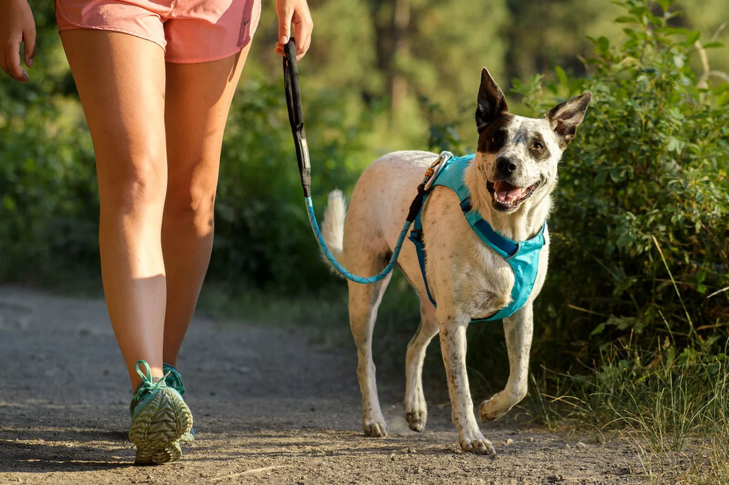 Ruffwear Knot-A-Leash Pumpkin Orange LG - DISC - Image 5