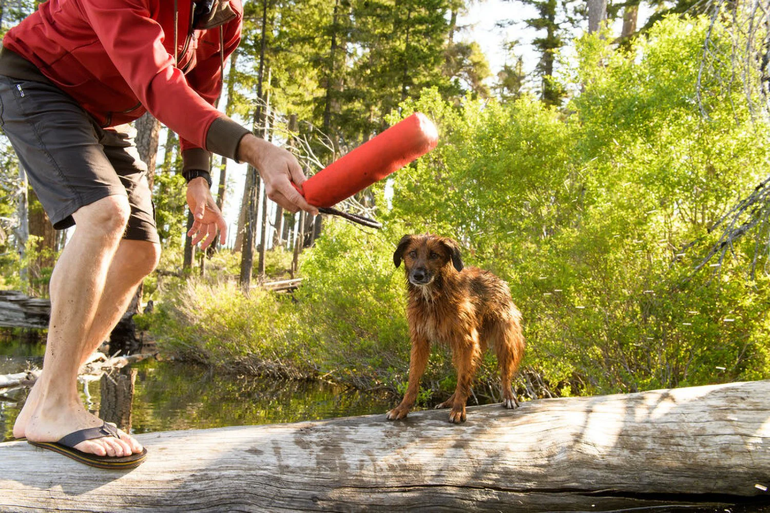 Ruffwear Lunker Toy - Image 3
