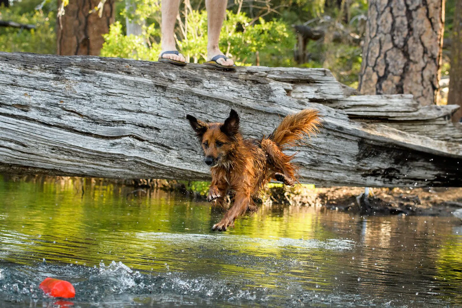 Ruffwear Lunker Toy - Image 4