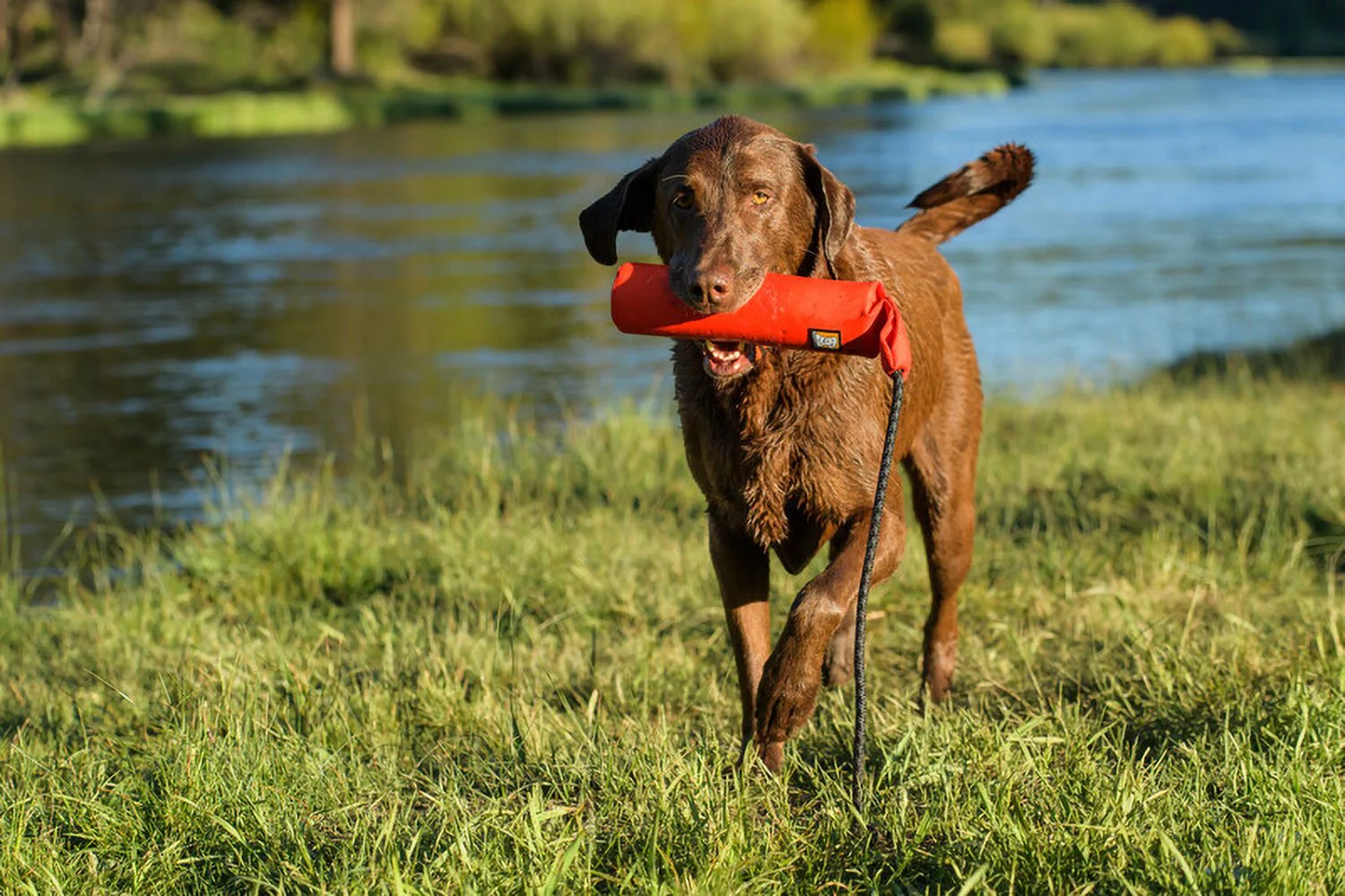 Ruffwear Lunker Toy - Image 5
