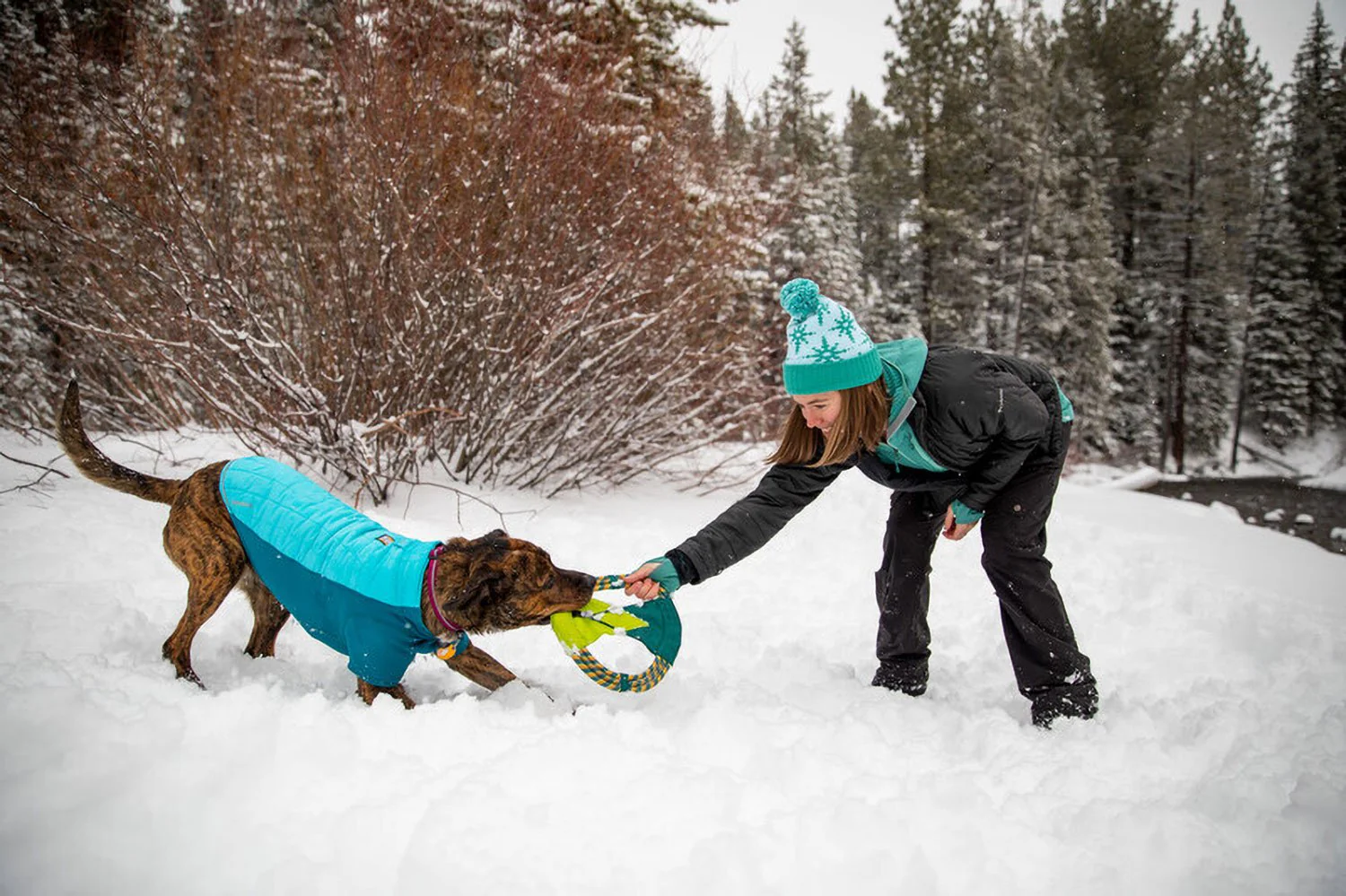 Ruffwear Pacific Ring Dog Toy Tumalo Teal - DISC - Image 3