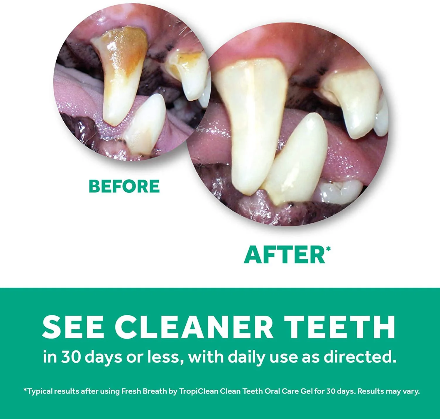 TropiClean Fresh Breath Advanced Whitening Gel - Image 3
