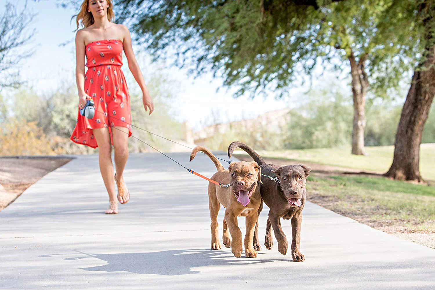 Wigzi Dual Doggie Leash - Image 2